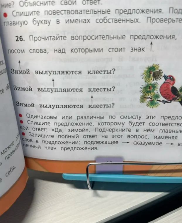 Определи, одинаковы или различны по смыслу предложения 'Зимой вылупляются клесты?'