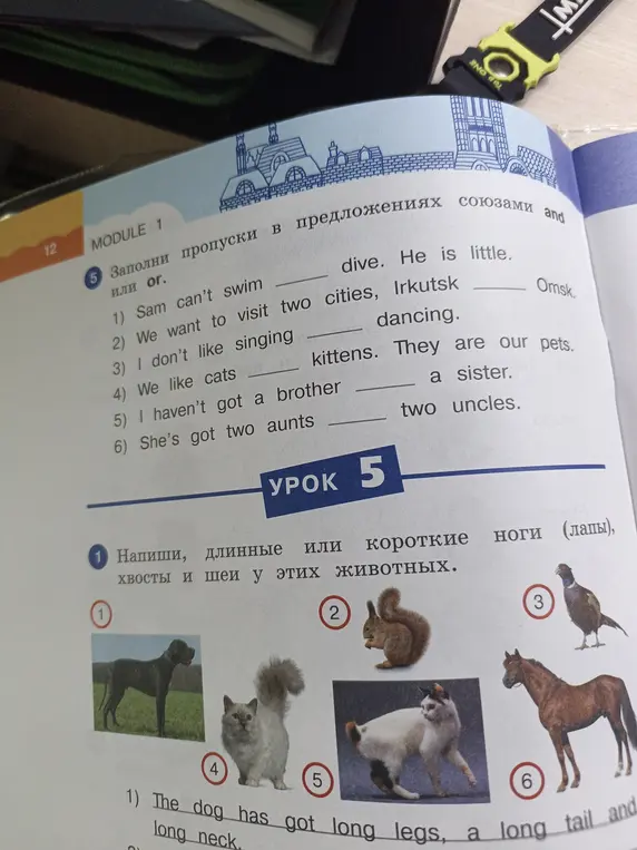 Ты просишь меня заполнить пропуски в предложениях союзами "and" или "or", а также написать, длинные или короткие ноги, хвосты и шеи у этих животных.