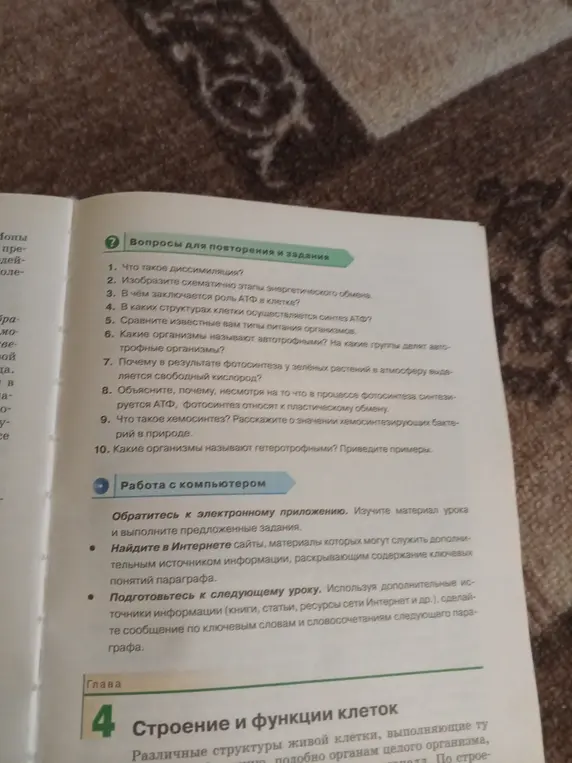 Что такое диссимиляция?