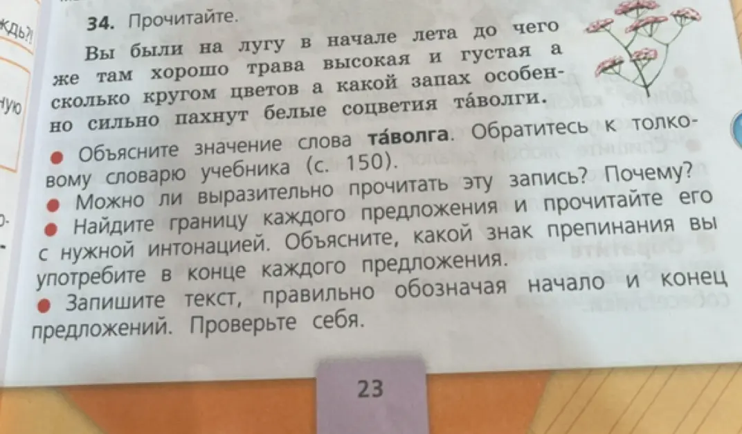 Объясни значение слова таволга из упражнения 34