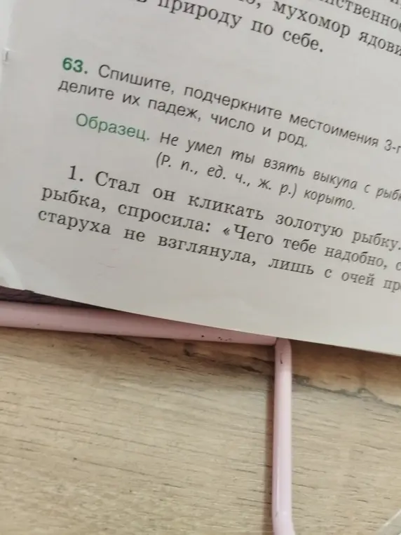 Ты просишь списать текст, подчеркнуть местоимения 3-го лица, определить их падеж, число и род в упражнении 63 под номером 1