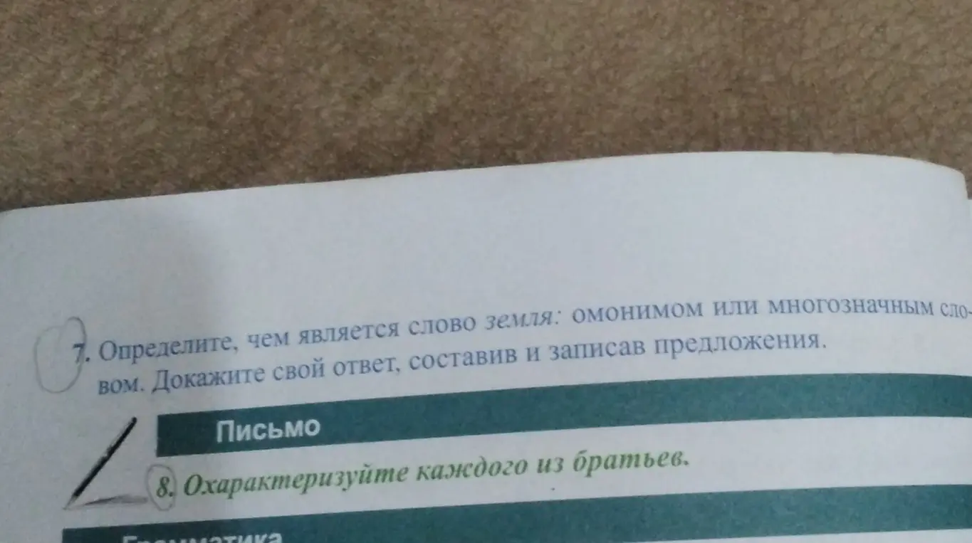 Определи, чем является слово земля: омонимом или многозначным словом.