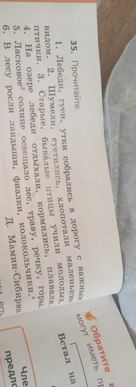 Прочитай текст