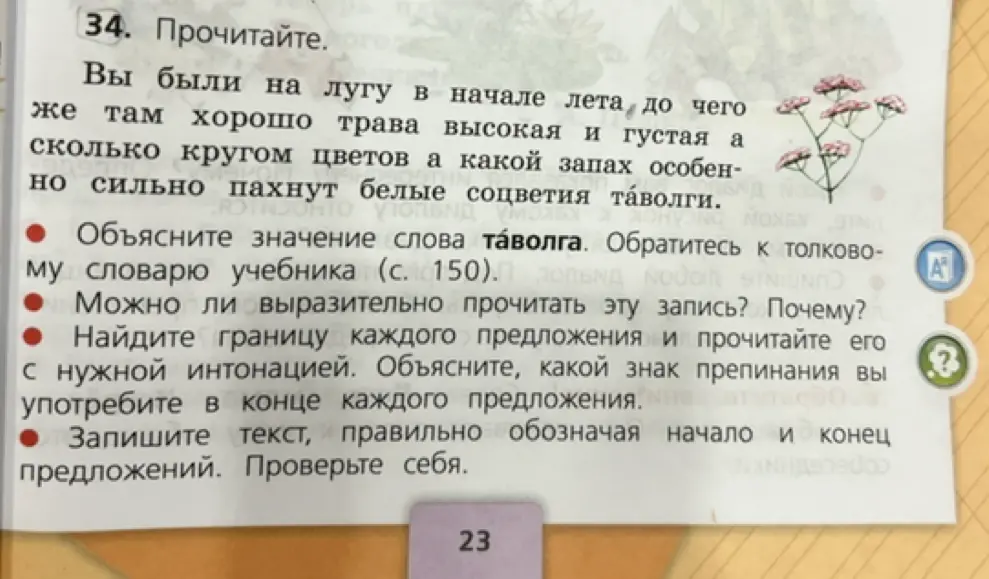 Ты просишь объяснить значение слова "таволга", выразительно прочитать запись, найти границы предложений и правильно обозначить начало и конец предложений.