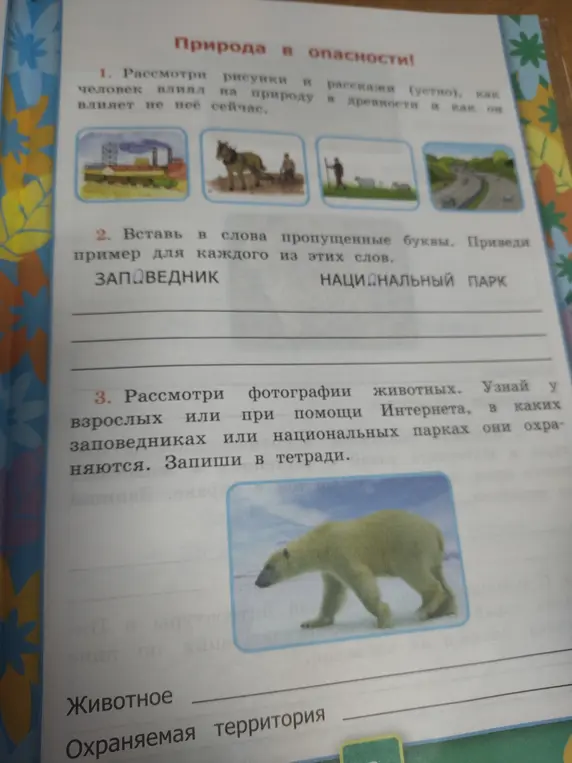 Ты просишь меня вставить пропущенные буквы в слова 'ЗАПОВЕДНИК' и 'НАЦИОНАЛЬНЫЙ ПАРК', привести примеры для каждого из этих слов, а также определить, в каких заповедниках или национальных парках охраняется белый медведь, изображенный на фотографии.