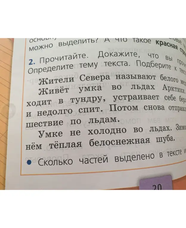 Сколько частей выделено в тексте про умку?