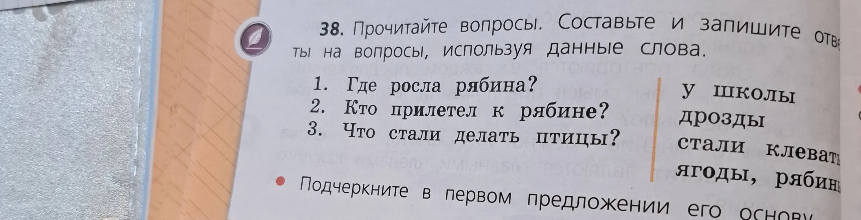 Составь и запиши ответы на вопросы, используя данные слова: Где росла рябина?