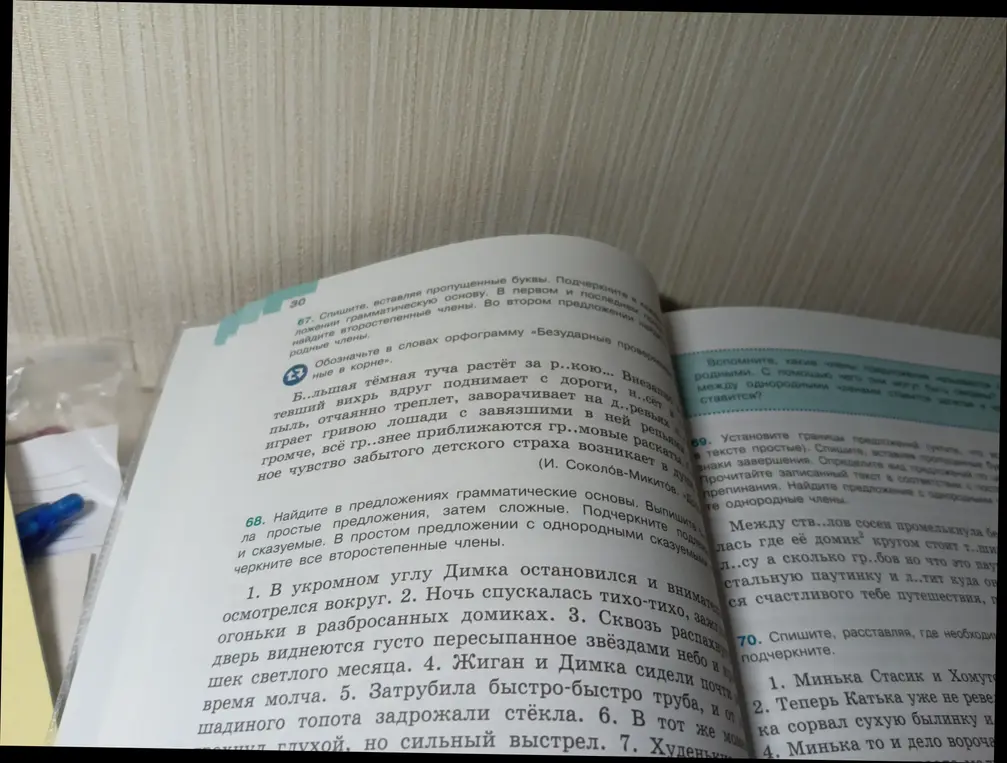 Найди в предложении "В укромном углу Димка остановился и внимательно осмотрелся вокруг" грамматическую основу.