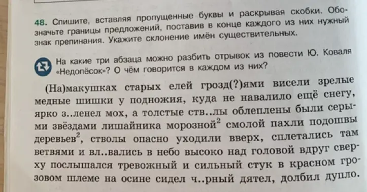 Предложи разделить текст из повести Ю. Коваля «Недопёсок» на три абзаца и определить, о чём говорится в каждом из них