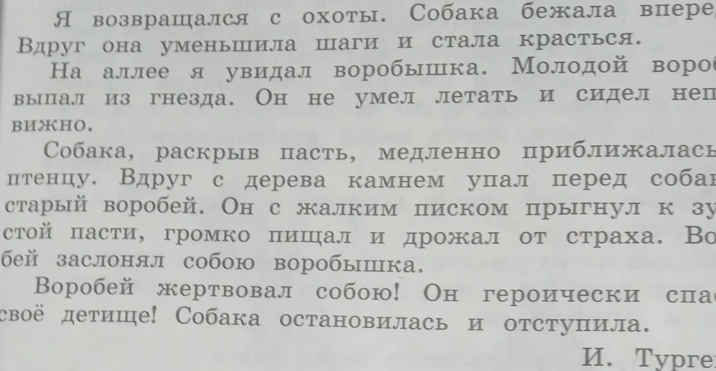 О чём говорится в тексте?
