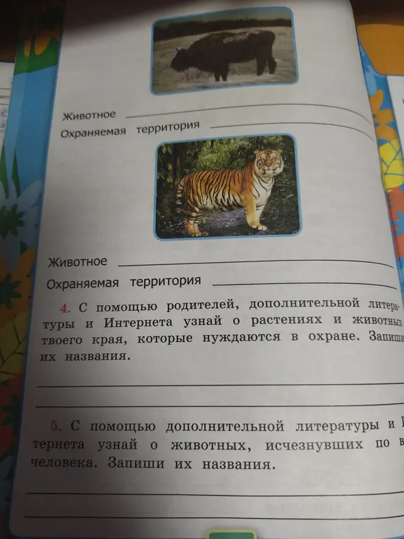 Заполни названия животного и охраняемую территорию для зубра и тигра