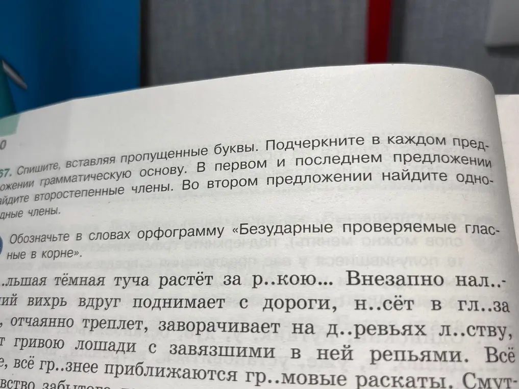 Вставь пропущенные буквы в тексте и подчеркни грамматическую основу в каждом предложении. В первом и последнем предложении найди второстепенные члены, а во втором – однородные.