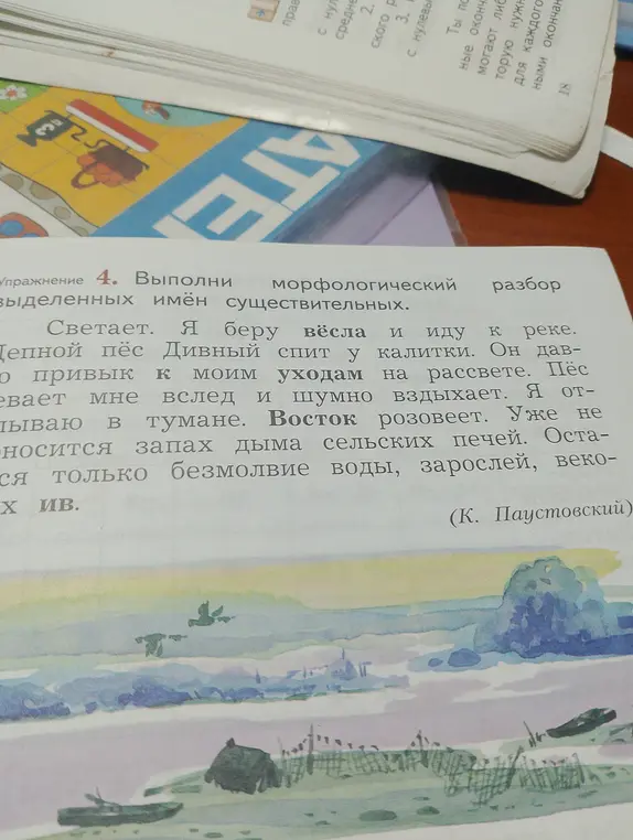 Выполни морфологический разбор выделенных имён существительных