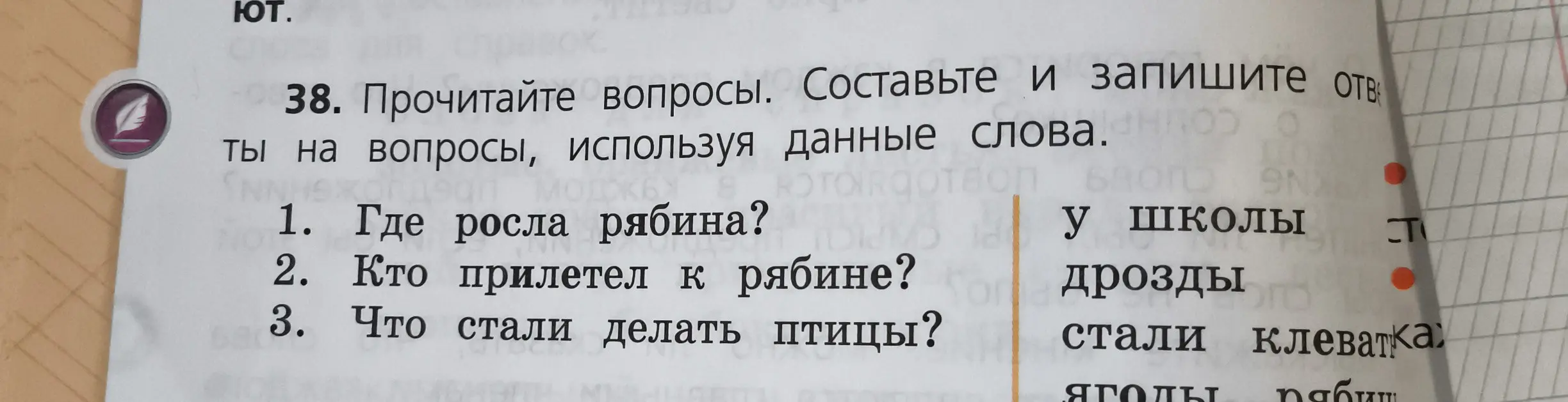 Составь и запиши ответы на вопросы, используя данные слова: 'Где росла рябина?'