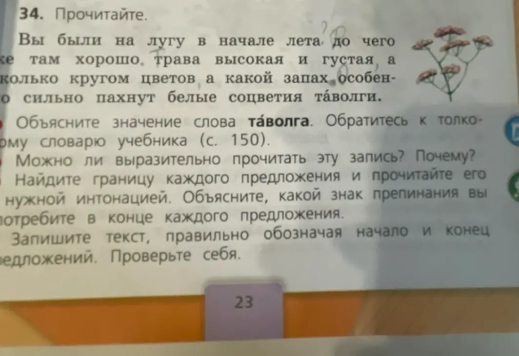 Ты просишь объяснить значение слова «таволга», можно ли выразительно прочитать запись, найти границы каждого предложения и объяснить, какой знак препинания употребить в конце каждого предложения.