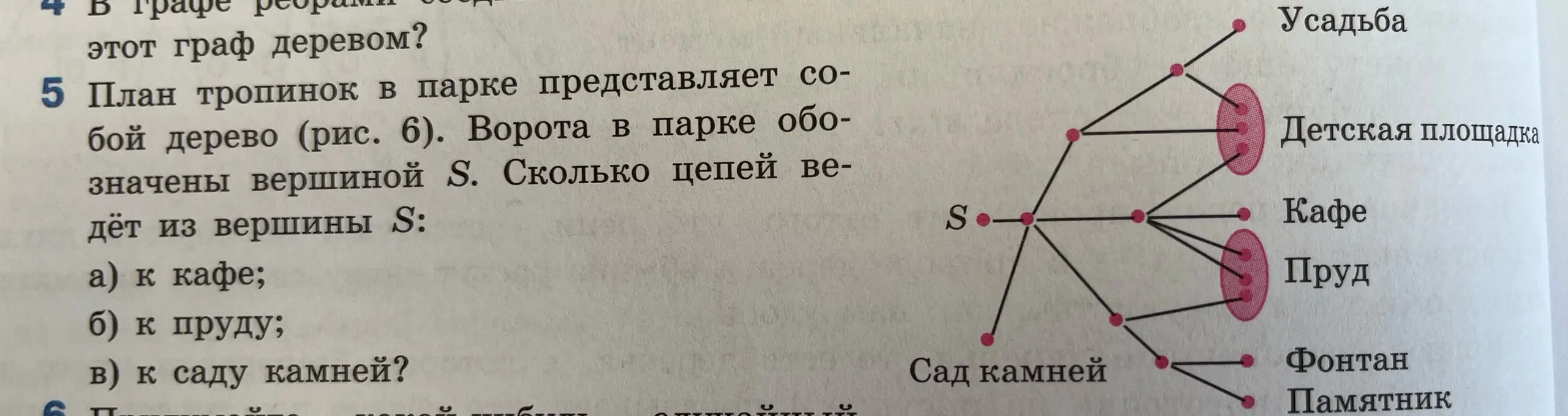 Помоги посчитать, сколько цепей ведёт из вершины S к кафе, к пруду, к саду камней