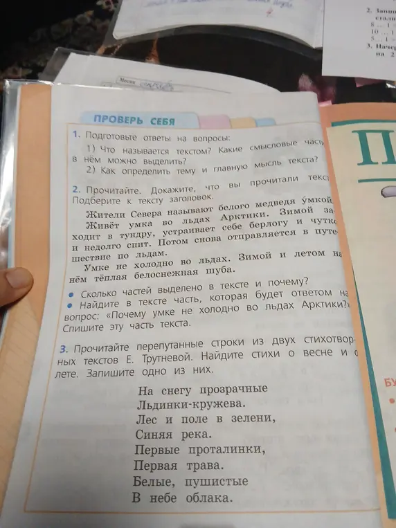 Подготовь ответы на вопросы: Что называется текстом? Какие смысловые части в нём можно выделить?