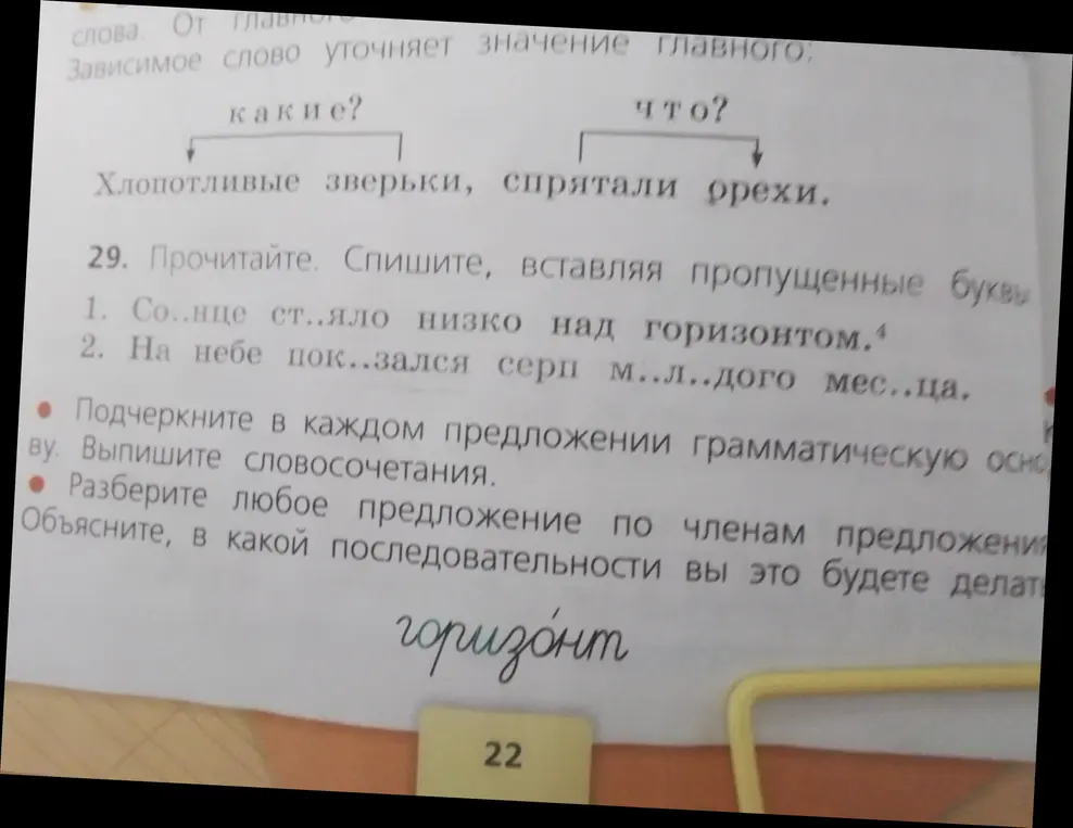 Ты просишь вставить пропущенные буквы, подчеркнуть грамматическую основу в предложениях и разобрать любое предложение по членам