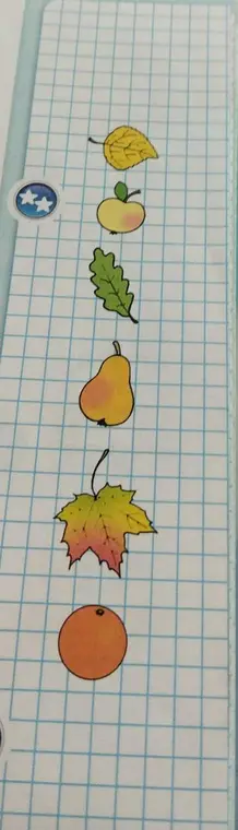 Что изображено на картинке?