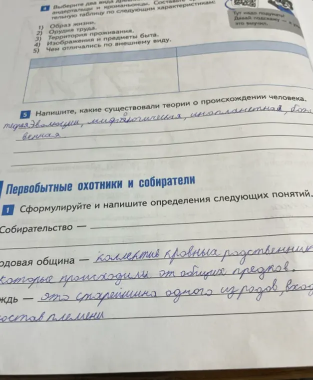 Какие существовали теории о происхождении человека? Сформулируй и напиши определения следующих понятий: собирательство, родовая община, вождь.