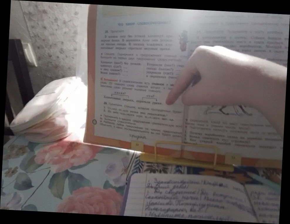 Помоги вставить пропущенные буквы, подчеркнуть грамматическую основу и выписать словосочетания из предложений в упражнении 29: 'Солнце стало низко над горизонтом'.