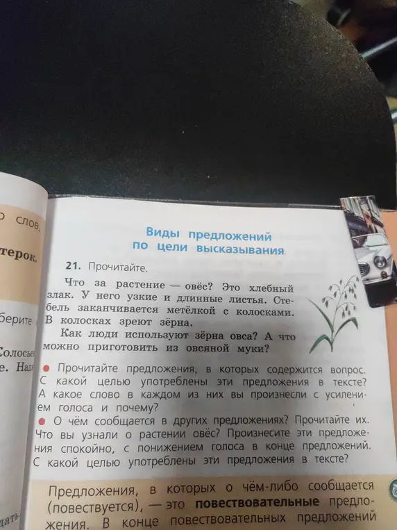 Прочитай текст и определи виды предложений по цели высказывания.