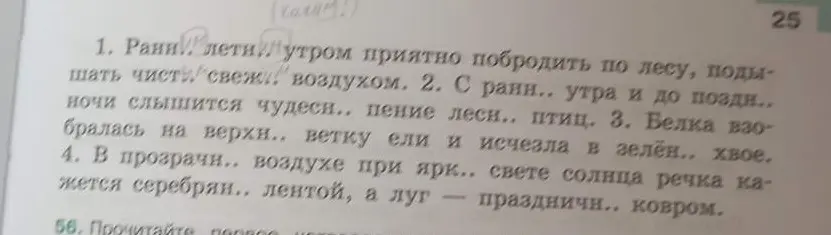 Вставь пропущенные окончания в слова в предложениях 1-4