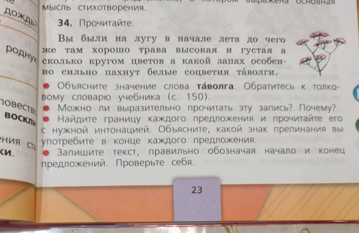 Ты просишь объяснить значение слова таволга, найти границы предложений и записать текст, правильно обозначая начало и конец предложений.