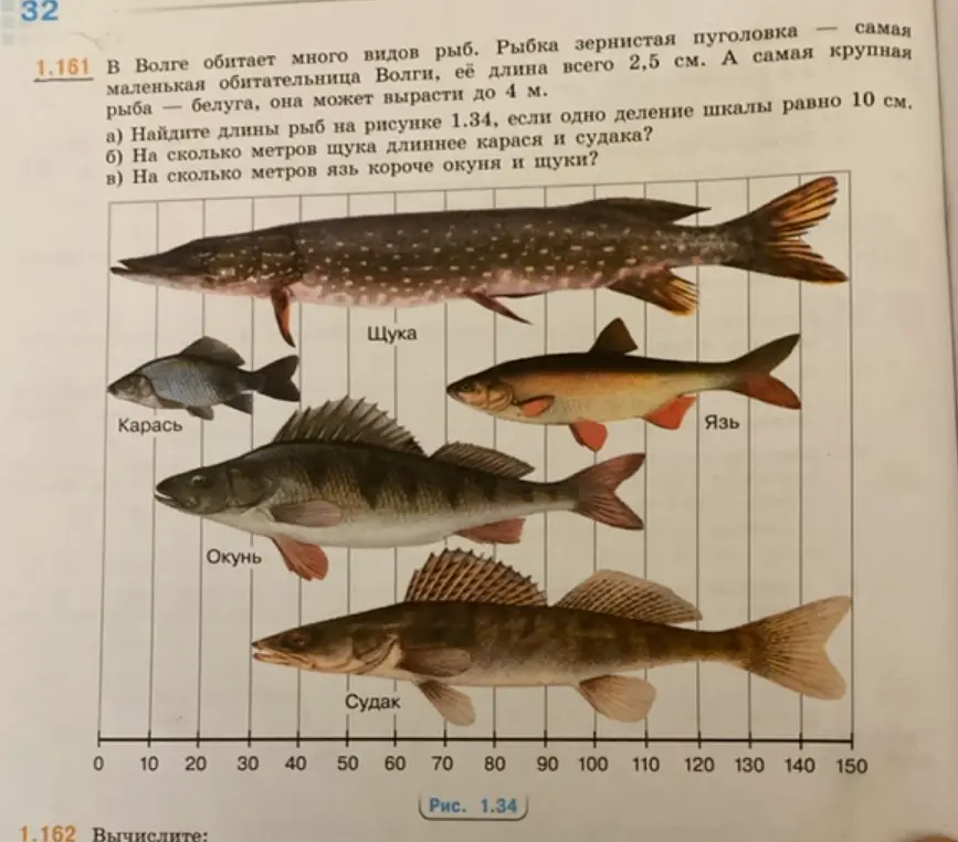 Можешь найти длины рыб на рисунке 1.34, если одно деление шкалы равно 10 см? На сколько метров щука длиннее карася и судака? На сколько метров язь короче окуня и щуки?