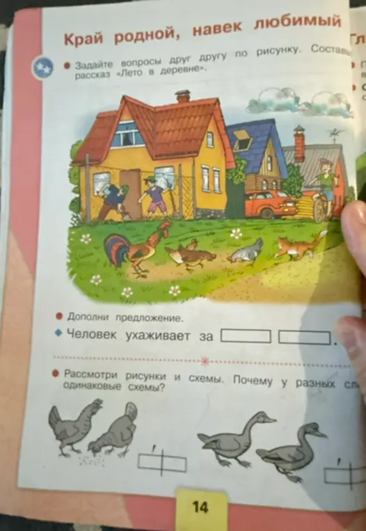 Ты просишь дополнить предложение "Человек ухаживает за..."