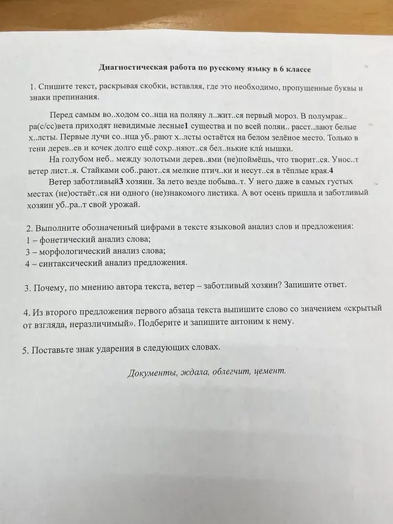 Помоги мне выполнить диагностическую работу по русскому языку: спиши текст, раскрой скобки, вставь пропущенные буквы и знаки препинания.