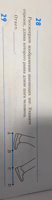 Определи отрезок, длина которого равна длине шага человека.