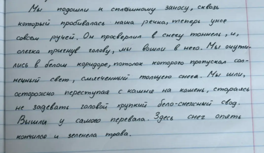 просишь выписать словосочетание со связью согласование из текста