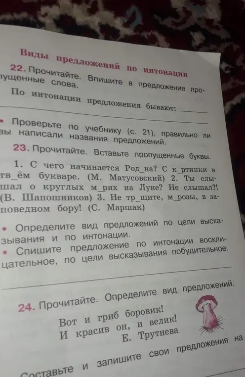 В 22 задании впиши в предложение пропущенные слова. В 23 задании вставь пропущенные буквы. В 24 задании определи вид предложений.