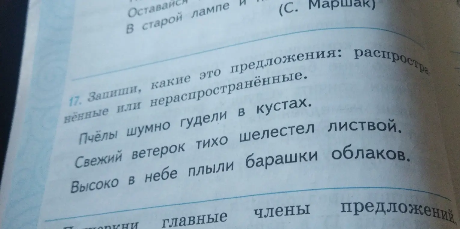 Определи, какие это предложения: распространенные или нераспространённые: Пчёлы шумно гудели в кустах.