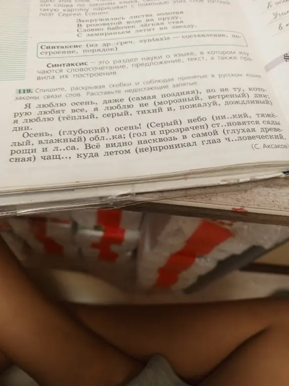 Спиши, раскрывая скобки и соблюдая принятые в русском языке законы связи слов, расставь недостающие запятые