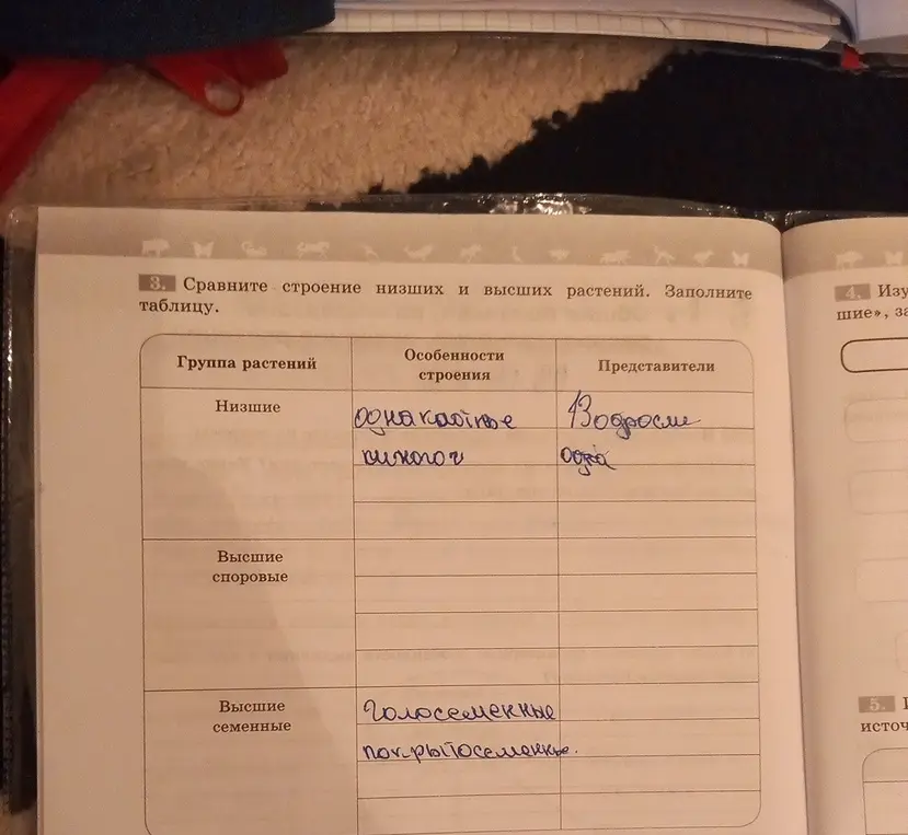 Сравни строение низших и высших растений и заполни таблицу