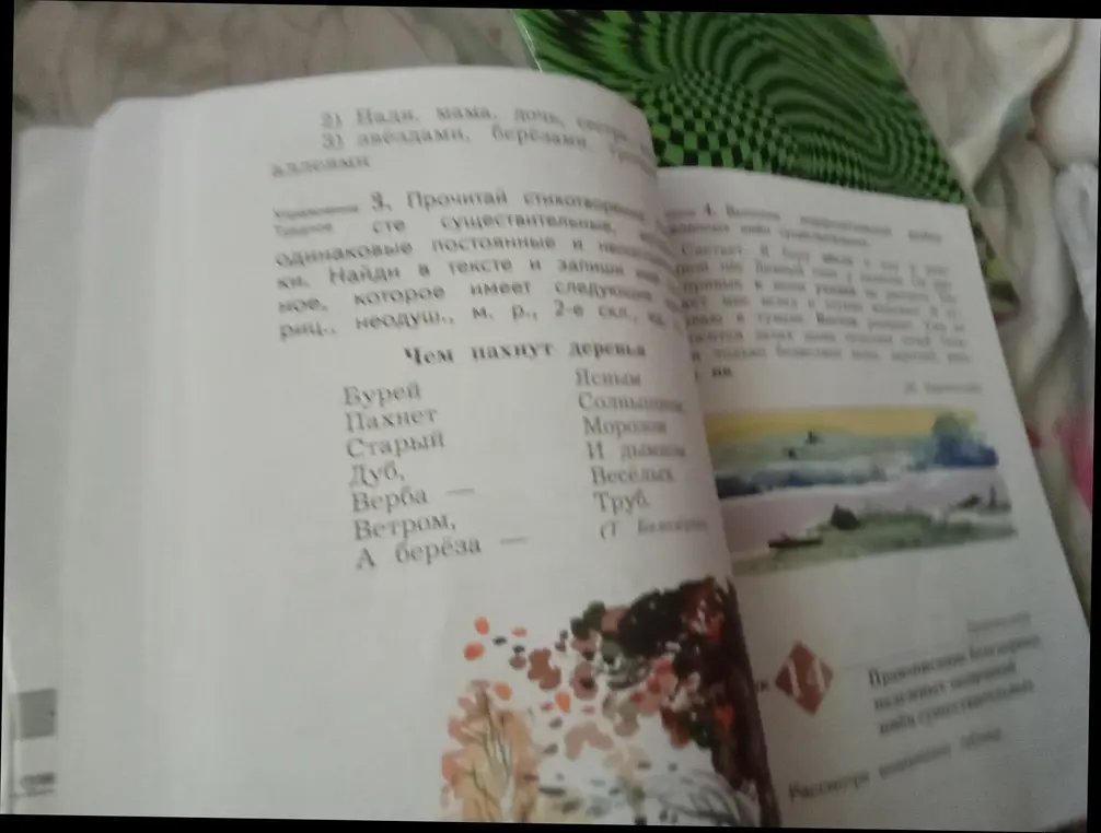 Прочитай стихотворение и найди существительное, которое имеет следующие признаки: неодушевленное, мужской род, 2-е склонение