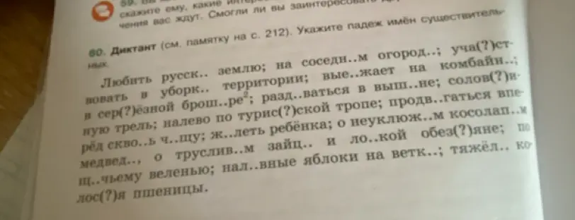 Определи, какие буквы необходимо вставить в слова в диктанте.