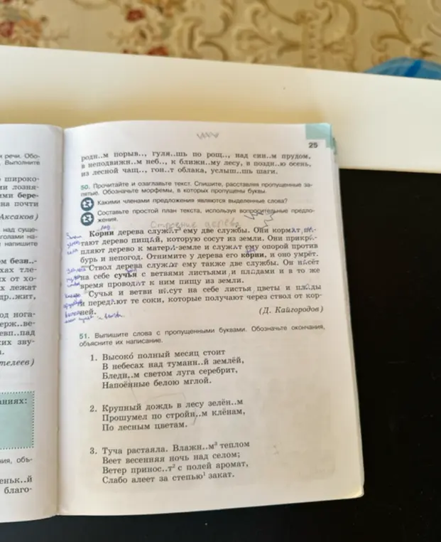 Выпиши слова с пропущенными буквами из упражнения и обозначь окончания, объясни их написание