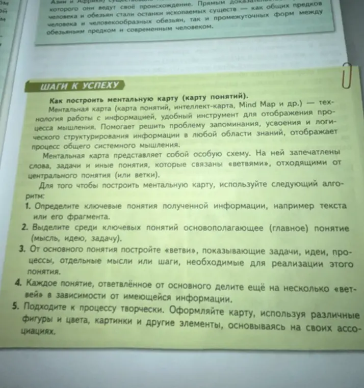 Объясни, как построить ментальную карту.