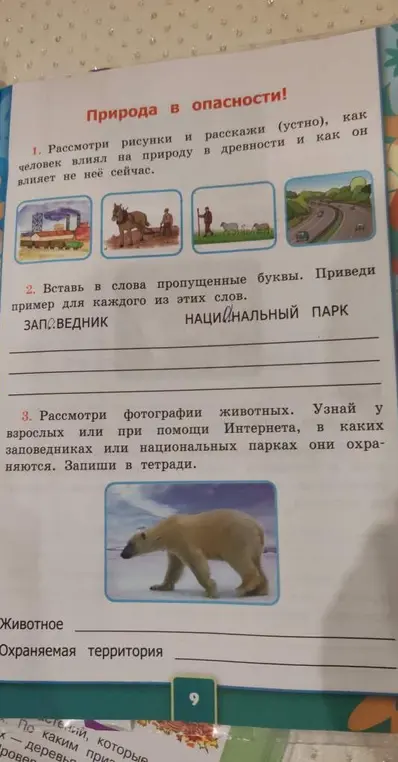 Можешь ли ты вставить пропущенные буквы в словах "заповедник" и "национальный парк" и узнать, в каких заповедниках или национальных парках охраняются животные, изображённые на фотографии?