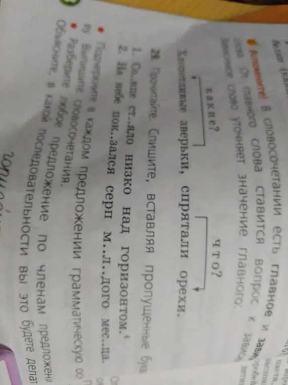 Выполни упражнение, вставляя пропущенные буквы в предложениях: 1. Со..нце ст..яло низко над горизонтом