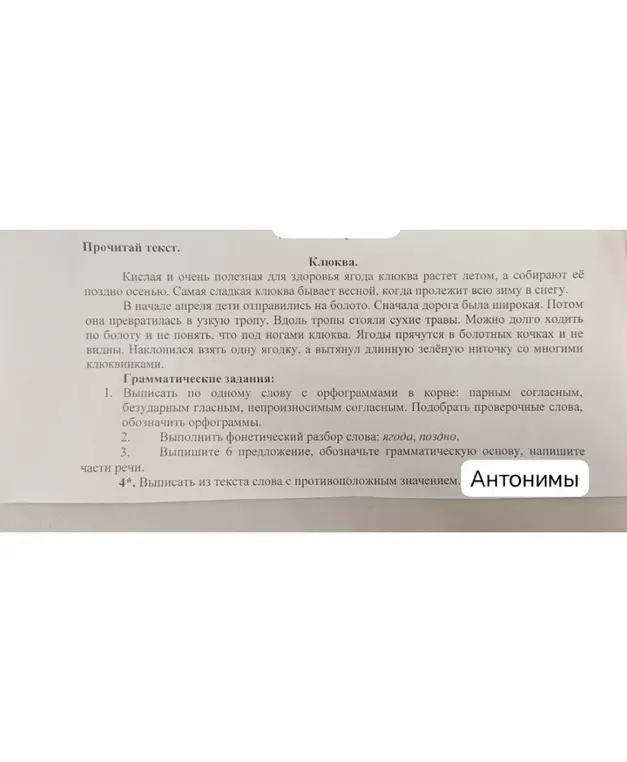 Выполни для меня грамматические задания по тексту: выпиши по одному слову с орфограммами, выполни фонетический разбор слов, выпиши предложение, выпиши слова с противоположным значением