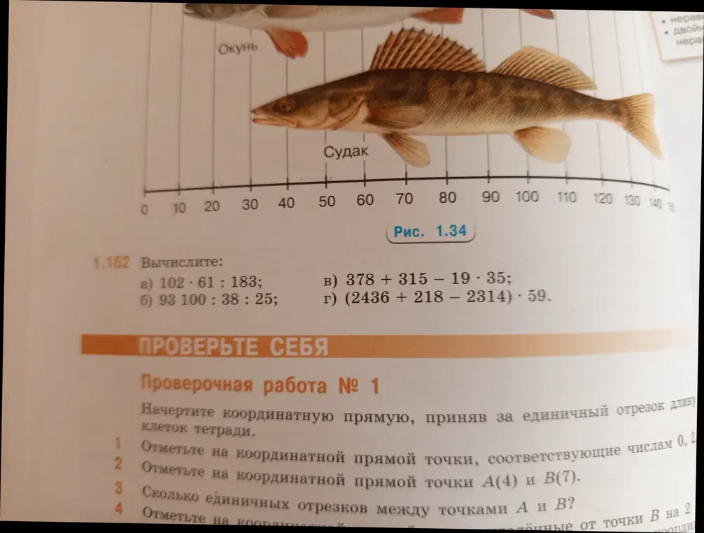 Вычисли следующие выражения: 102 * 61 : 183