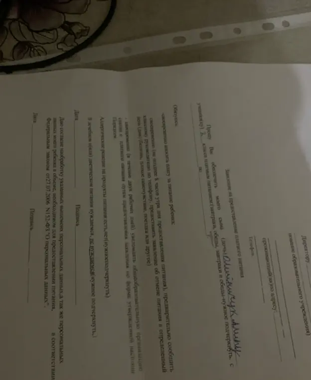 Объясни, как правильно написать заявление на предоставление платного питания для ребенка