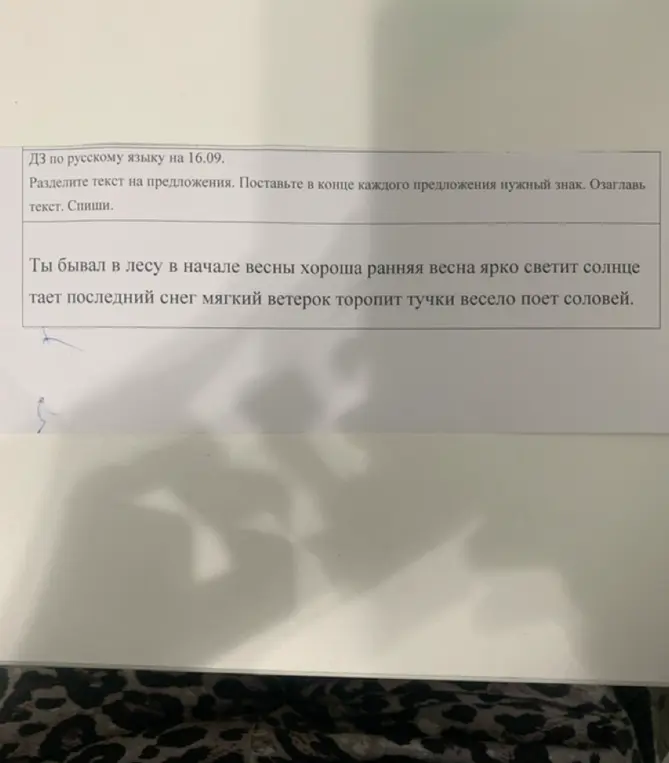 Раздели текст на предложения и поставь в конце каждого предложения нужный знак. Озаглавь текст.