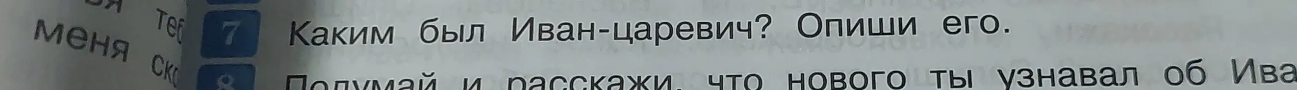 Опиши каким был Иван-царевич.