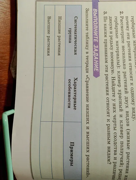 Заполни таблицу «Сравнение низших и высших растений»