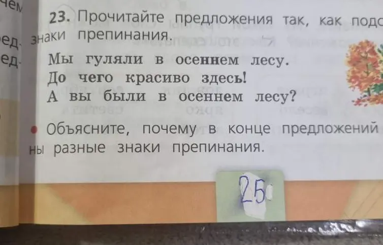 Объясни, почему в конце предложений стоят разные знаки препинания.
